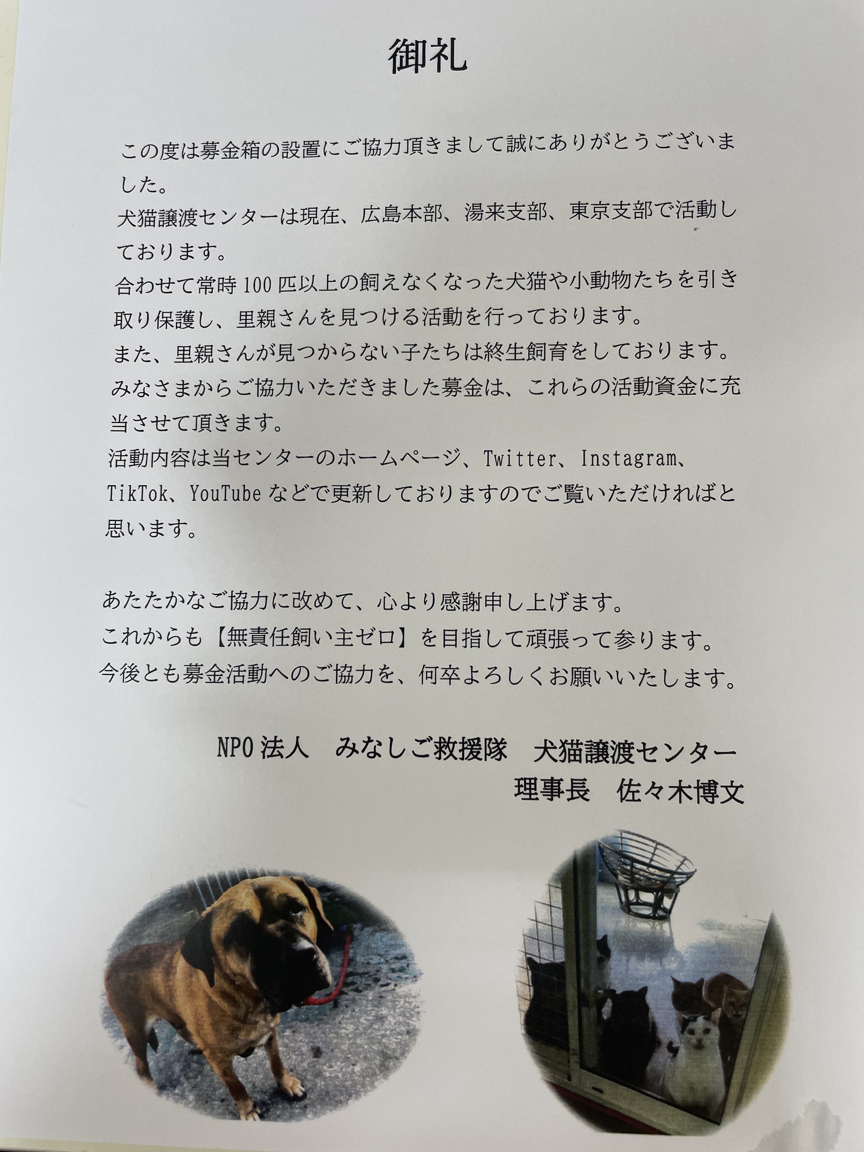 犬猫募金2